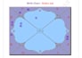 do accurate vedic astrology report and predict your future